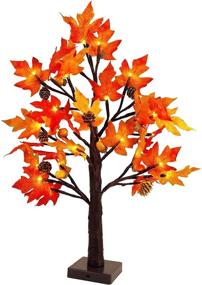 img 4 attached to 🍁 23 Inch Battery Operated Tabletop Maple Tree with Lighted Twinkle Star, Autumn Decor with 32 LED Lights, Maple Leaves, Pine Cones, and Acorn - Ideal for Indoor Home, Bedroom, Thanksgiving, Fall Decorations