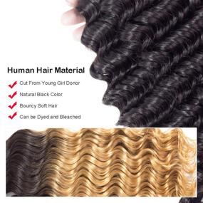 img 1 attached to Набор волос Beauhair 8A Grade Brazilian Deep Wave 3 пачки с встраиваемой кружевной закрытой частью без обработки натуральный черный (12 14 16 с 10 закрытием).