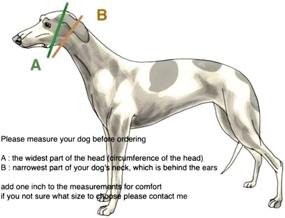 img 2 attached to SightHound Gang Martingale Greyhound Whippet Dogs for Training & Behavior Aids
