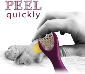 img 2 attached to 🔪 Talisman Designs 3-in-1 Ginger Peeler, Grater & Sliver: Efficient Multifunctional Kitchen Utensil for Ginger, Garlic, Turmeric & Nutmeg