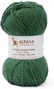 img 3 attached to 🧶 Blend Alpaca Yarn Wool Set of 3 Skeins DK Weight - Heavenly Soft Green Yarn Ideal for Knitting and Crocheting