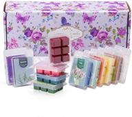 🕯️ scented wax melts: premium natural soy wax cubes (12 x 2.5 oz) for wax warmers/cube tarts - long-lasting fragrance logo