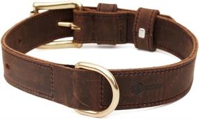 img 2 attached to 🐶 Premium Full Grain Leather Dog Collar with Brass Hardware. Available in Large, Medium, and Small Sizes. Ideal for Luxury and Style. Explore our Range of High-Quality Dog Collars & Accessories.