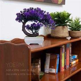 img 1 attached to 🌿 Yoerm Small Artificial Bonsai Tree - Fake Plants for Desk Decor, Home Office, Wall, or Book Shelf - (Size 9.5"x8.5")