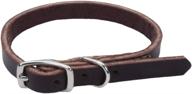 🐶 coastal - latigo leather town dog collar, circle t, 3/8" x 12 logo