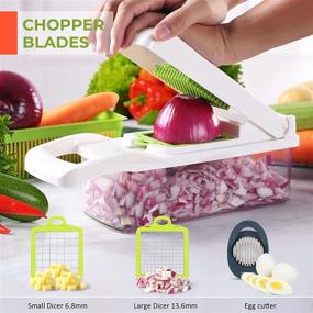 img 2 attached to 🥦 MAIPOR Vegetable Chopper - Professional 14PCS Food Chopper Dicer, Mandoline Slicer, Kitchen Shredder with Adjustable Shredder and Container