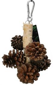 img 1 attached to 🐦 QBLEEV Natural PineCones and Wood Foraging Bird Toys for Parrot, with Hanging Tearing Feature, Suitable for Parakeet, Cockatiel, Conure, African Grey, Lovebirds, Budgies, and Cockatoos in Birdcages