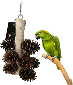 img 4 attached to 🐦 QBLEEV Natural PineCones and Wood Foraging Bird Toys for Parrot, with Hanging Tearing Feature, Suitable for Parakeet, Cockatiel, Conure, African Grey, Lovebirds, Budgies, and Cockatoos in Birdcages