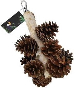 img 3 attached to 🐦 QBLEEV Natural PineCones and Wood Foraging Bird Toys for Parrot, with Hanging Tearing Feature, Suitable for Parakeet, Cockatiel, Conure, African Grey, Lovebirds, Budgies, and Cockatoos in Birdcages
