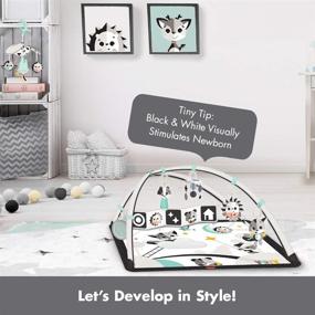 img 1 attached to 🔴 Tiny Love Deluxe Black & White Gymini Infant Activity Play Mat With Book - Magical Tales: Boost Your Baby's Development
