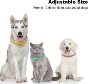 img 1 attached to 🐶 UMOPET Silicone Dog Collars with Airtag Holder - Cat & Small Dog Collar, HD Protective Film, 9-19.5 inches - Perfect for Apple Airtag Tracking on Cats, Puppies, and Small Dogs