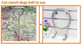 img 1 attached to 🐾 Premium Dog Tie-Out Cable - Heavy Duty Berry Pet Chain Leashes - Perfect Lead for Small & Medium Size Dogs - 10'/16'/32'