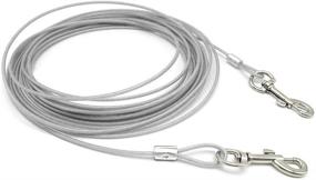 img 4 attached to 🐾 Premium Dog Tie-Out Cable - Heavy Duty Berry Pet Chain Leashes - Perfect Lead for Small & Medium Size Dogs - 10'/16'/32'