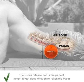 img 2 attached to 🍊 Aletha Orange Hip Flexor Release Massage Ball - Pain Relief and Muscle Therapy Tool