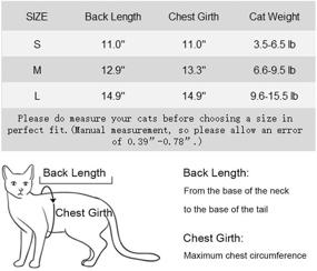 img 2 attached to IDOMIK Recovery Abdominal Professional Alternative