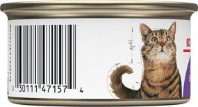 img 1 attached to 🥫 Royal Canin Feline Health Nutrition Spayed/Neutered Thin Slices: 24-Count Canned Cat Food