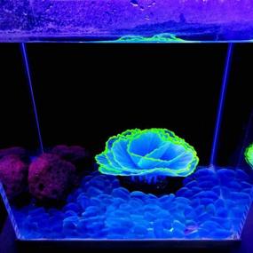 img 1 attached to 🌸 Glowing Flower Coral: Stunning Aquarium Decor - Danmu Artificial Coral