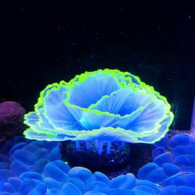 img 4 attached to 🌸 Glowing Flower Coral: Stunning Aquarium Decor - Danmu Artificial Coral