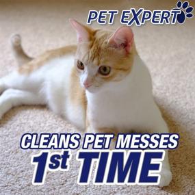 img 2 attached to Powerful Resolve Pet Carpet Spot & Stain Remover Spray Refill, 60oz - Effortlessly Cleans Tough Pet Messes (SYNCHKG097508)