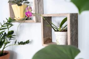 img 1 attached to 🏚️ Set of 3 BarnwoodUSA Rustic Square Floating Wood Shadowbox Shelves for Home Decor in Natural Weathered Gray