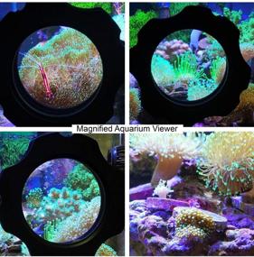 img 1 attached to Aquarium Choice Magnifier Magnetic Auxiliary