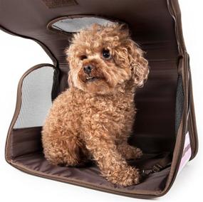 img 3 attached to Sporty Caged Airline Approved Collapsible Pet