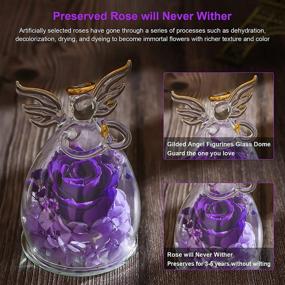 img 2 attached to Astounding Real Rose in Glass Dome: Preserved Rose with Angel Figurines - Ideal Flower Gifts for Women on Valentine's Day, Anniversary, Mother's Day, Children's Day, Birthday, Thanksgiving, Christmas (Purple)