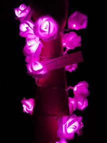 img 4 attached to 🌹 Fantasee - Pink LED Rose Flower String Lights, Battery Operated Décor Lights for Wedding Proposal, Home Room Party, Birthday Festival, Indoor Outdoor Decorations, 6.6ft 20 LEDs