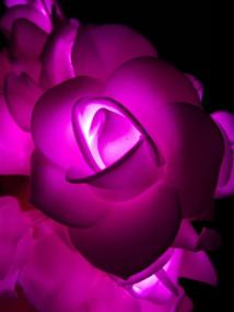 img 1 attached to 🌹 Fantasee - Pink LED Rose Flower String Lights, Battery Operated Décor Lights for Wedding Proposal, Home Room Party, Birthday Festival, Indoor Outdoor Decorations, 6.6ft 20 LEDs