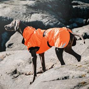 img 1 attached to 🐶 Hurtta Summit Parka Dog Winter Coat: The Ultimate Winter Wear for Your Canine Companion