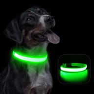 🐶 illumifun led dog collar: usb rechargeable light up safety collar for small, medium & large dogs logo