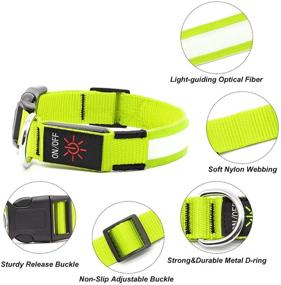 img 1 attached to 🐶 Illumifun LED Dog Collar: USB Rechargeable Light Up Safety Collar for Small, Medium & Large Dogs