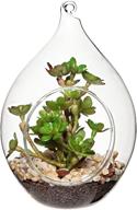 🌿 hanging glass teardrop terrarium ornament with artificial succulent plant - decorative 6-inch clear globe vase by mygift logo