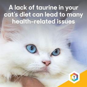 img 3 attached to 🐱 Thomas Pet Felo Taurine: Support Your Cat's Heart, Vision, Digestion, and Immune Health with our Taurine Supplement - 16 oz (454 g) Powder