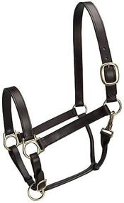 img 4 attached to Camelot Basic Leather Stable Halter