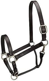 img 1 attached to Camelot Basic Leather Stable Halter