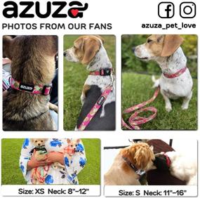 img 2 attached to Azusa Fruit Pattern Dog Collar and Leash Set - Vibrant Nylon Collar with Matching Leash, Ideal for Small, Medium, and Large Dogs