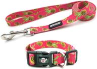 azusa fruit pattern dog collar and leash set - vibrant nylon collar with matching leash, ideal for small, medium, and large dogs logo