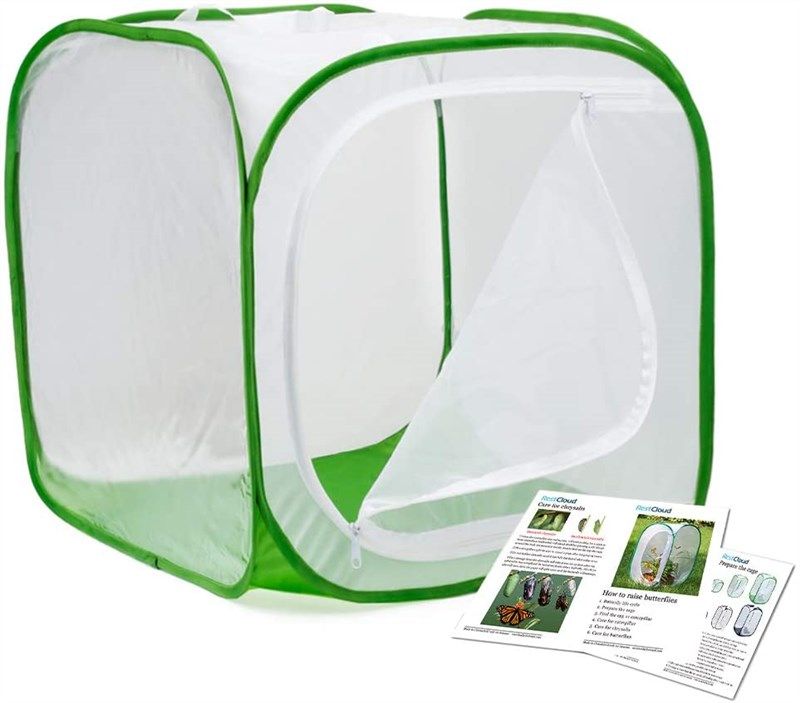 insect butterfly habitat terrarium pop up 로고