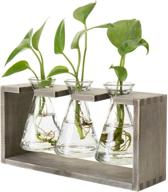 🌿 rustic grey wood stand with 3-glass beaker flower vases by mygift logo