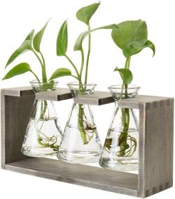 img 4 attached to 🌿 Rustic Grey Wood Stand with 3-Glass Beaker Flower Vases by MyGift