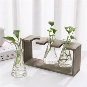 img 2 attached to 🌿 Rustic Grey Wood Stand with 3-Glass Beaker Flower Vases by MyGift