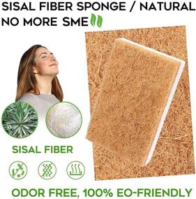 img 3 attached to 🌿 9-Pack Natural Sponge Set: Eco-Friendly Non-Scratch Scrubbing Bundle for Kitchen Cleaning - Biodegradable Sisal Scrubber & Compostable Dish Sponges