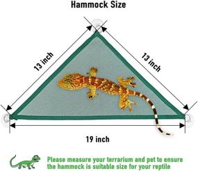 img 3 attached to 🦎 Enhance Your Reptile Habitat with KUDES Bearded Dragon Hammock - 2 Pack Reptile Lounger and Lizard Hanging Bed