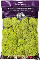 vibrant chartreuse reindeer moss: super moss 21669 preserved 8oz (200 cubic inch) - buy now! logo