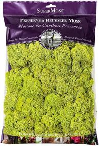 img 4 attached to Vibrant Chartreuse Reindeer Moss: Super Moss 21669 Preserved 8oz (200 cubic inch) - Buy Now!