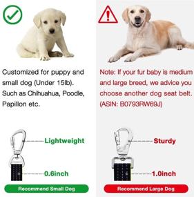 img 2 attached to Adjustable iBuddy Dog Seat Belt for Cars - Premium Pet Seat Belt for Small Dogs with 🐾 Dual Safe Hook and Elastic Nylon - Heavy Duty and Lightweight Dog Safety Belts for Enhanced Vehicle Security