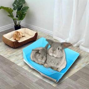 img 3 attached to 🐰 Tfwadmx Big Rabbit Litter Box - Large Pet Pan with Drawer Corner Toilet Tray - Bunny Poop Scoop Ideal for Adult Guinea Pigs, Chinchillas, Ferrets, Galesaurs, and Small Animals