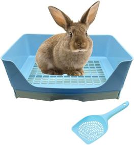 img 4 attached to 🐰 Tfwadmx Big Rabbit Litter Box - Large Pet Pan with Drawer Corner Toilet Tray - Bunny Poop Scoop Ideal for Adult Guinea Pigs, Chinchillas, Ferrets, Galesaurs, and Small Animals