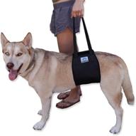 🐾 vet approved dog lift support harness: canine aid for aging, injured, arthritic dogs with weak hind legs & joints. large/x-large breed assist sling for mobility & rehabilitation - love pets logo